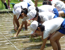 小学校の総合的な学習(ソフィータイム)イメージ