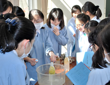 中学校・高等学校の総合的な学習イメージ