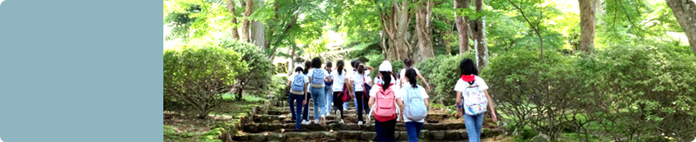 小学校 年間行事