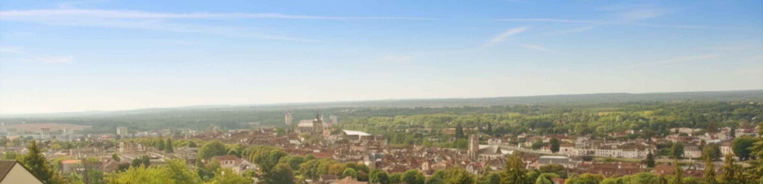 ソフィーへの旅（フランス研修プログラム）